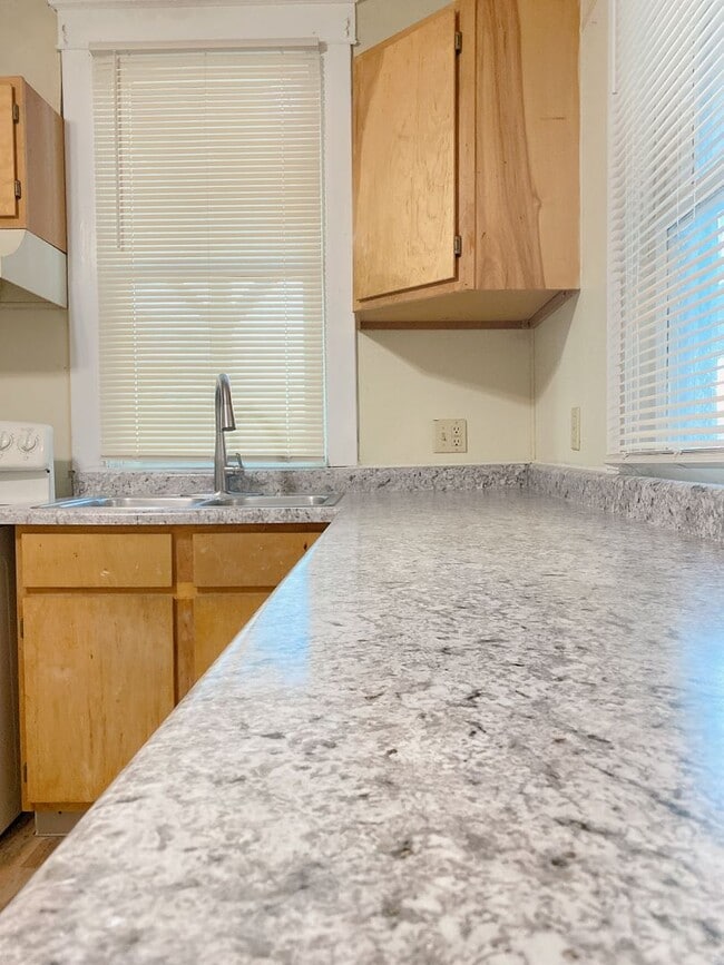 Building Photo - Coming Soon! Updated 4 bed 2 bath house right in the heart of Benson.