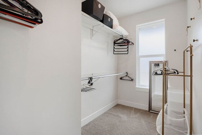 Building Photo - Bright & Inviting Home | Access to All