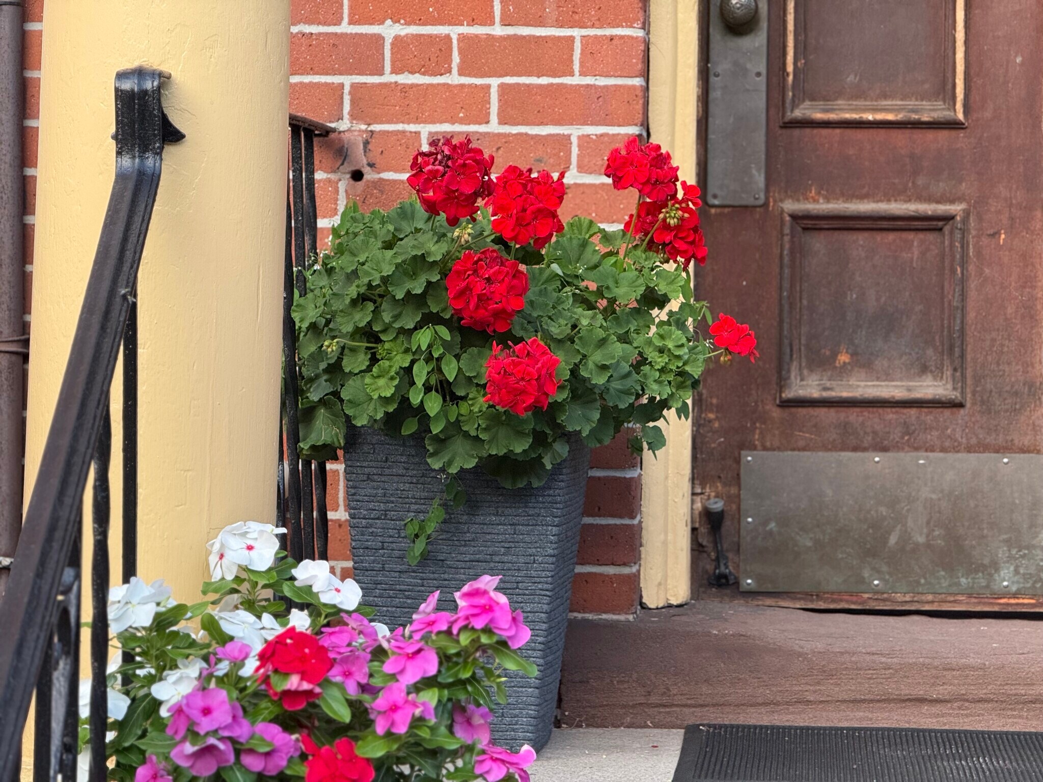 Building Photo - 71 Warren St