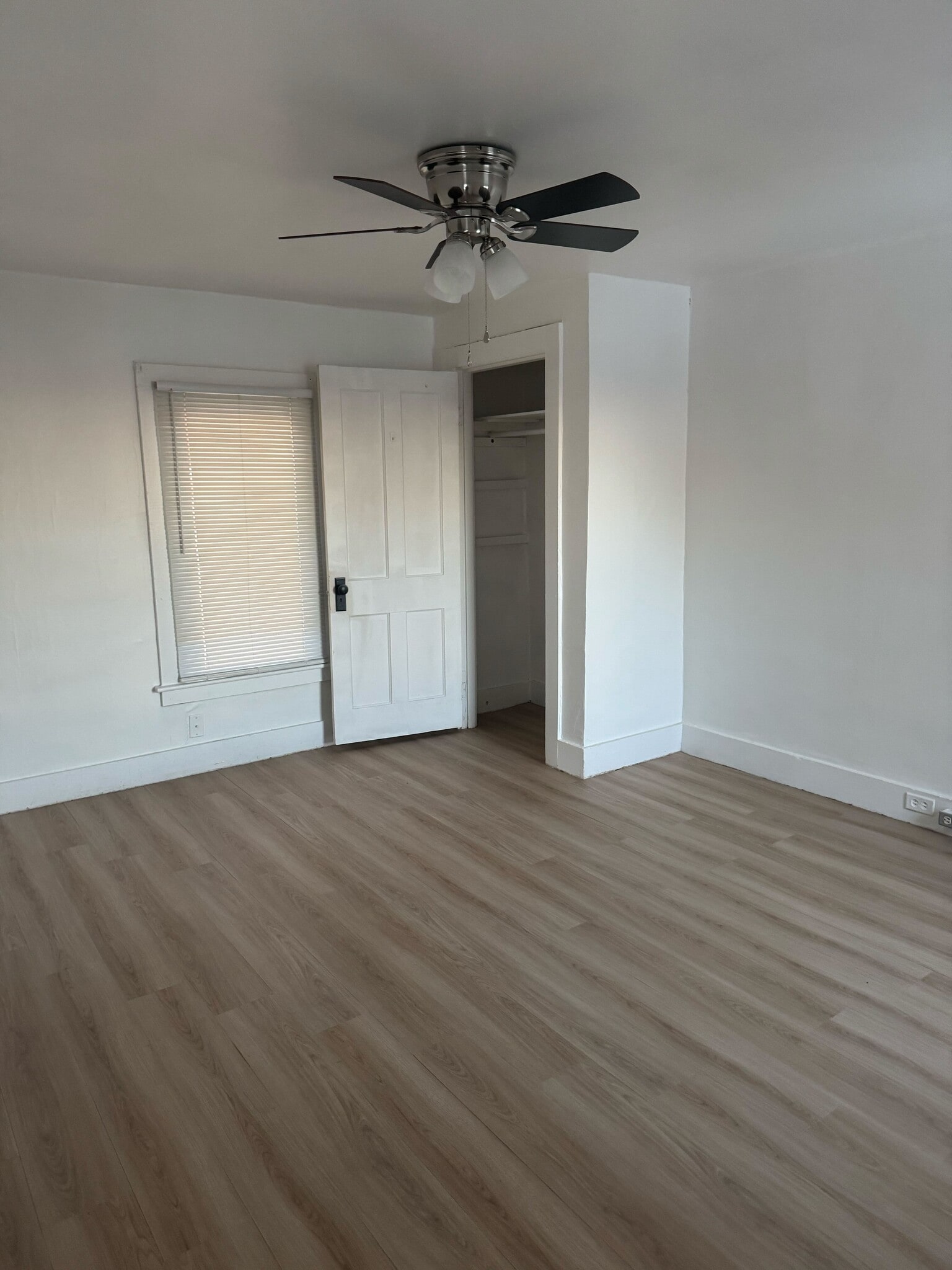 Building Photo - 165 Brunswick St