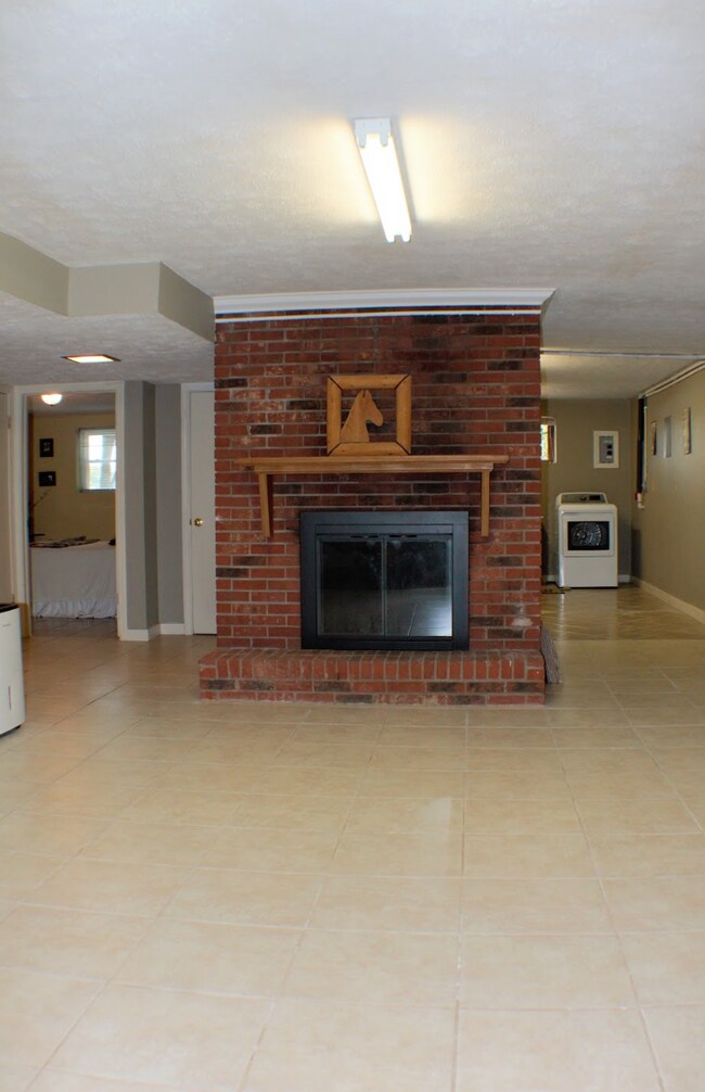 Building Photo - "Charming 3-Bed Retreat with Finished Basement & Fireplace in Scenic Mills River!" Furnished