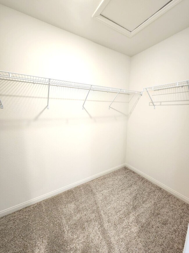 Building Photo - Modern Family Living on Tricase Street - 3...