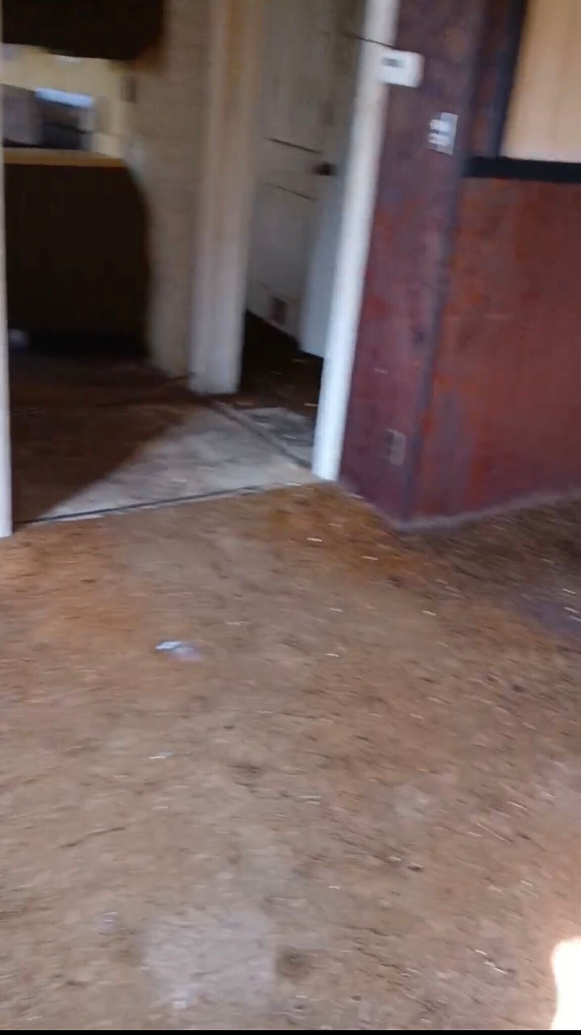 Building Photo - 10113 Count Dr