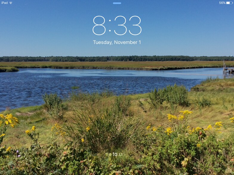 View of the marsh from LivRm - 275 North End Blvd