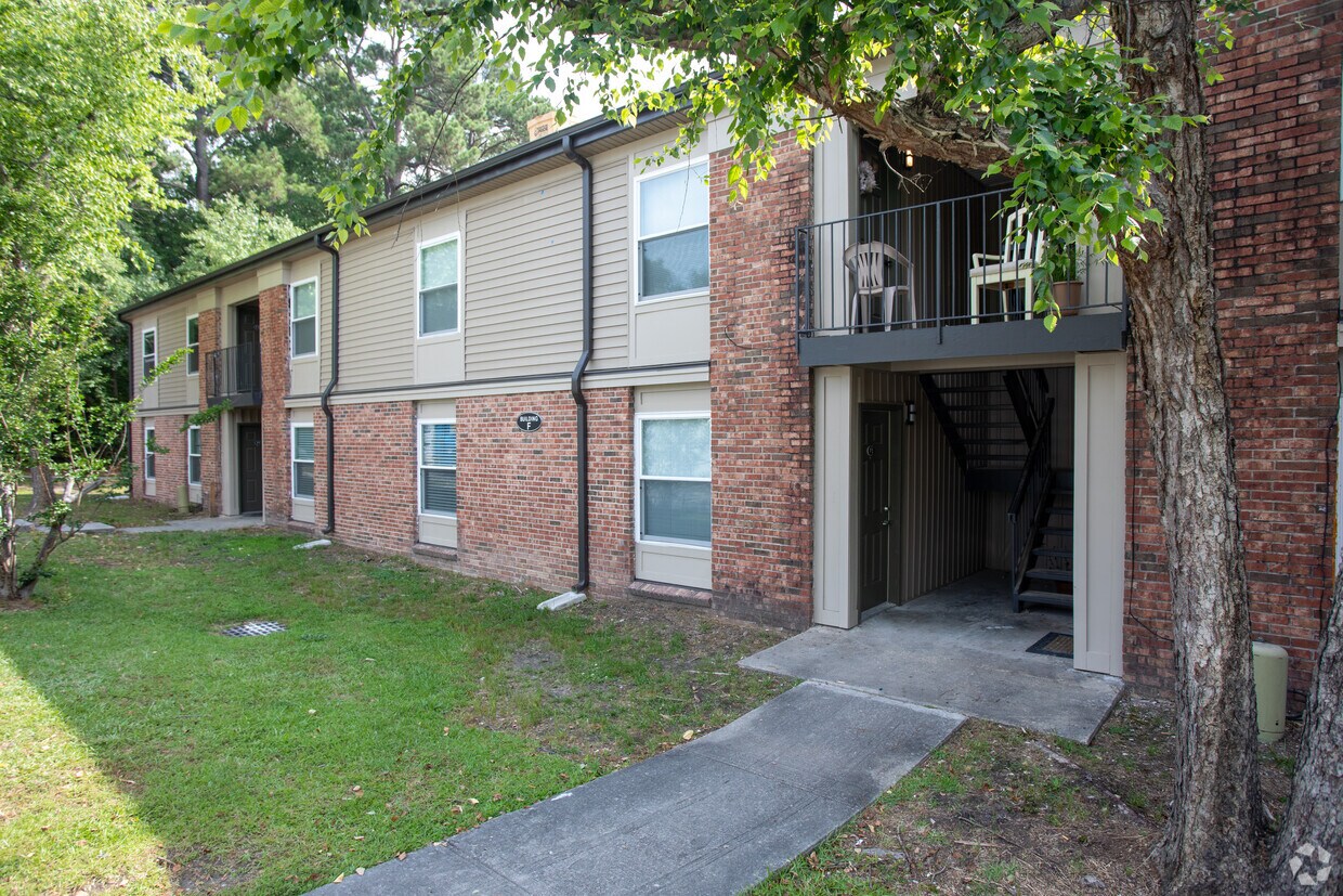 Palmetto Gardens Fasci Garden