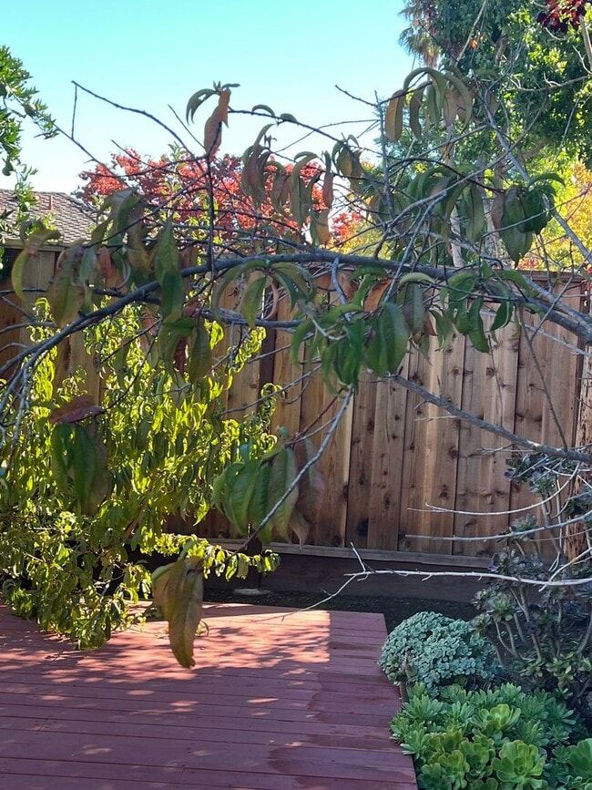 Building Photo - FURNISHED SHORT-TERM 3 MONTHS - 3 Bedroom 2.5 Bath Home in San Jose with Private Back Yard