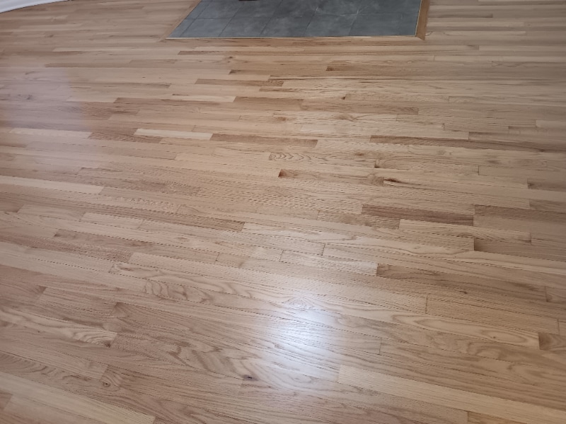 Building Photo - 5536 Michigan Ave