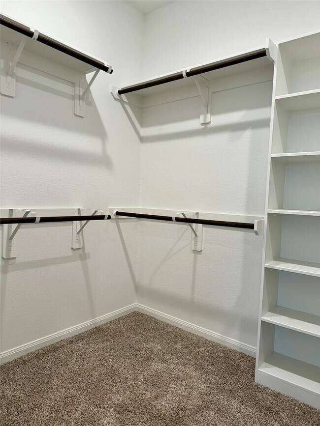 Building Photo - 2038 Myrtle Oak Ct