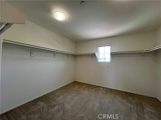 Building Photo - 8754 Armadillo Dr