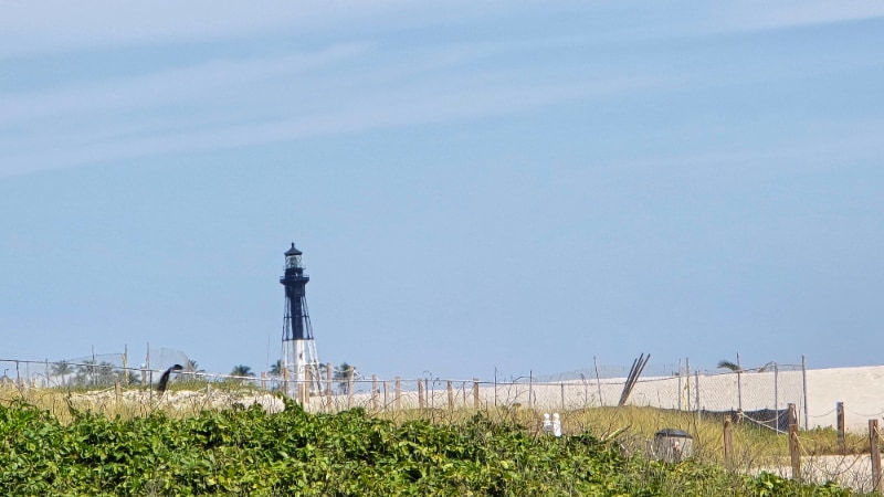 Building Photo - 2042 Alta Meadows Ln