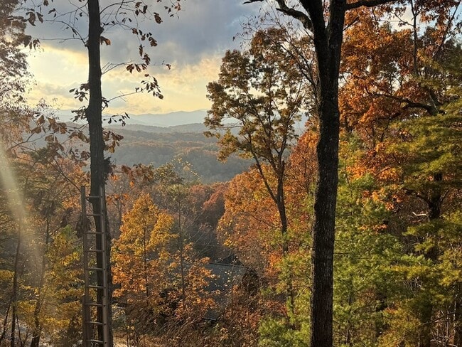 Building Photo - 664 Fox Run Dr