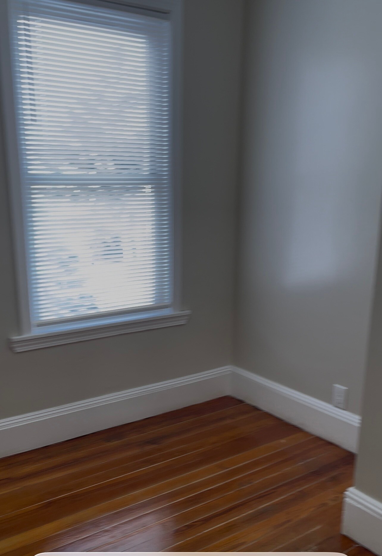 Building Photo - 73 Richfield St