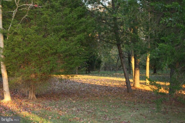 Building Photo - 18162 White Tail Way