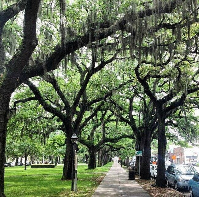 Building Photo - 110 Ann St