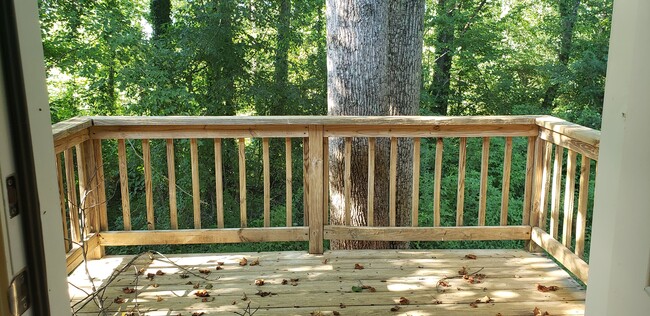 Back Deck - 1360 Shipley church rd