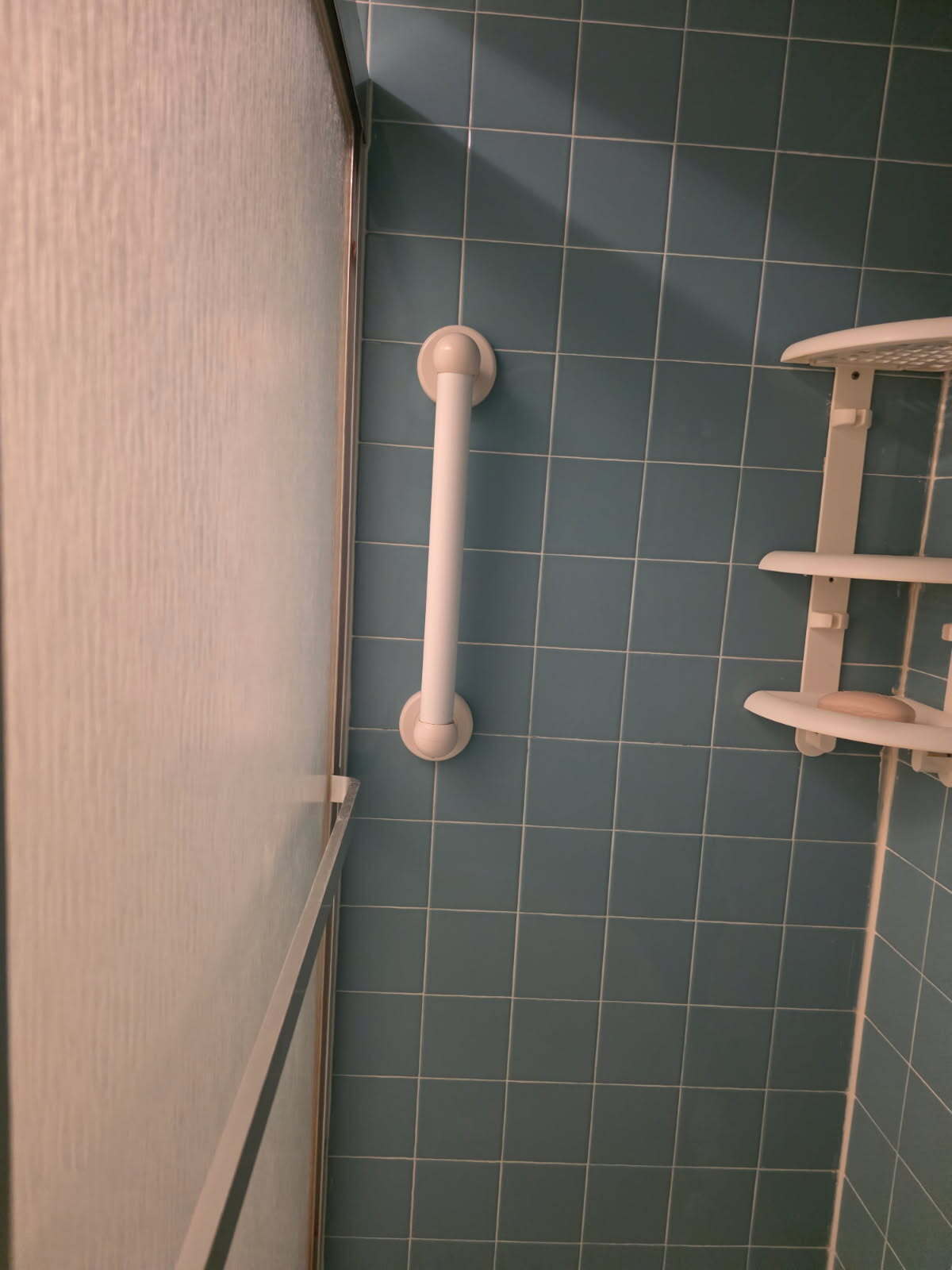 Shower Grab Bars - 78 Overlook Way