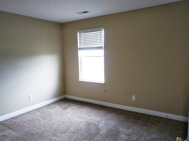 Building Photo - 4402 Coveflower Ct