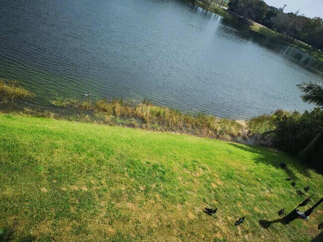 Building Photo - 1660 Renaissance Commons Blvd