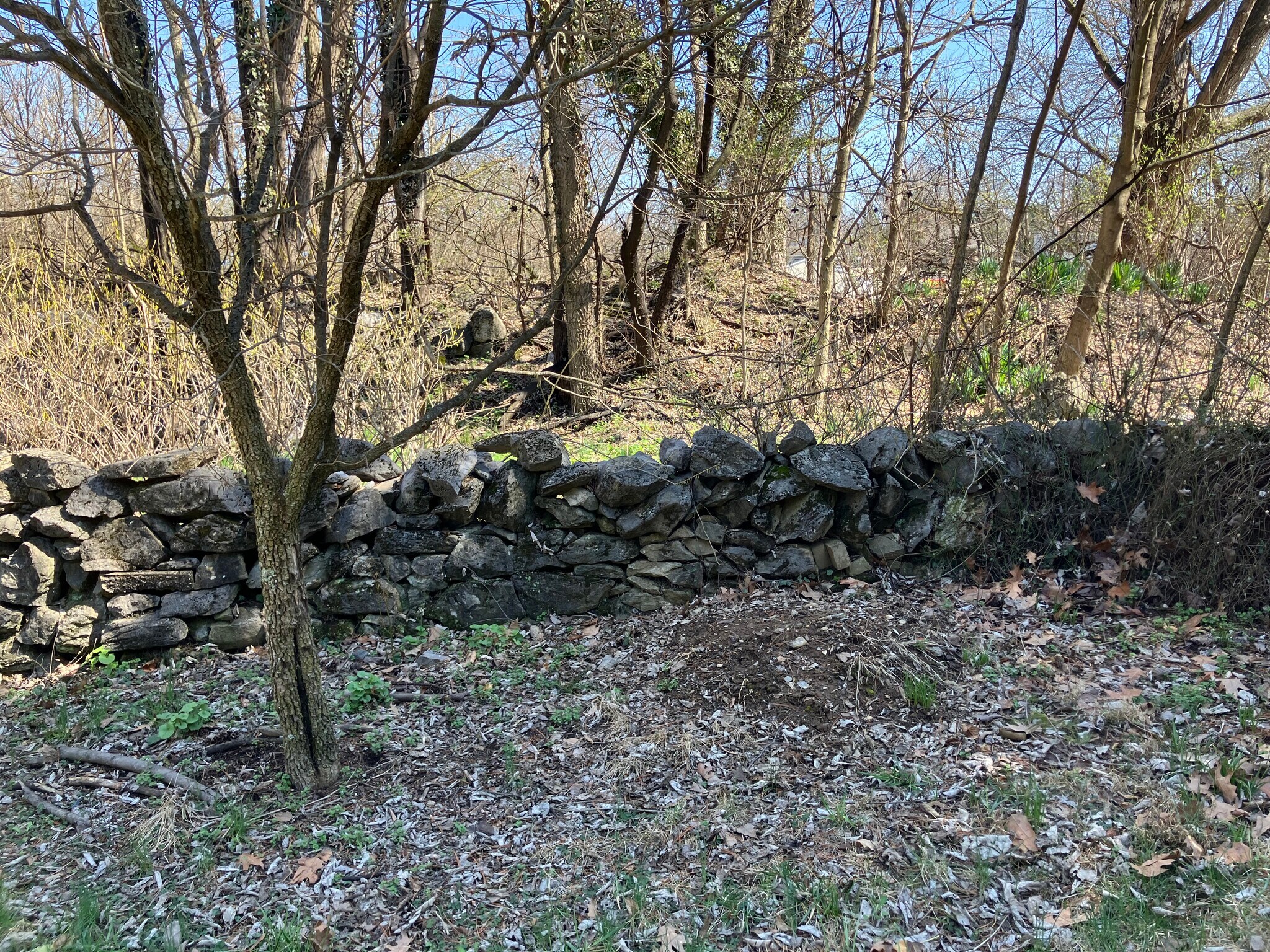 Building Photo - 104 E Poplar St