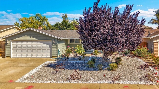 Building Photo - 36444 Peugeot Pl