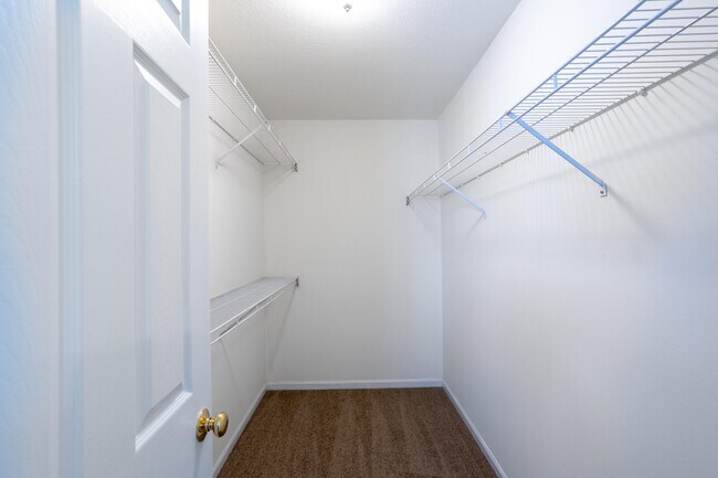 Building Photo - 3504 Delmar Ct