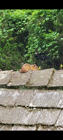 Building Photo - 126 Plainview Rd