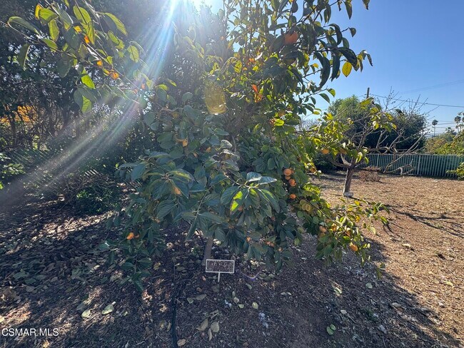 Building Photo - 381 Laguna Terrace