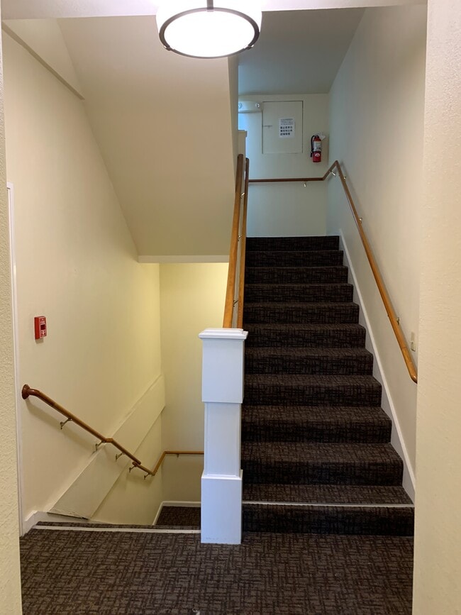 Building Photo - CHINATOWN - Renovated Studio Apartment (1 ...