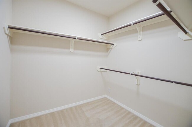 Building Photo - 3807 Broken Pine Ct