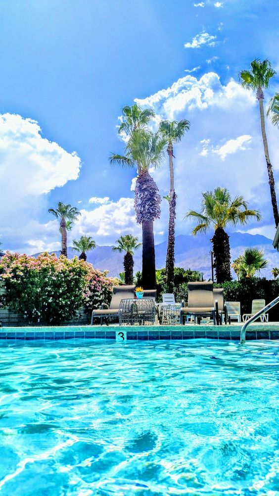 Large swimmers pool with mountain views - 3715 E Calle de Ricardo