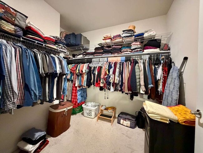 Building Photo - 2334 Abundance Ln