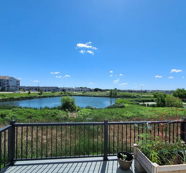 Building Photo - Beautiful 4bed 3.5bath End Unit Townhome With Walk-Out Basement!