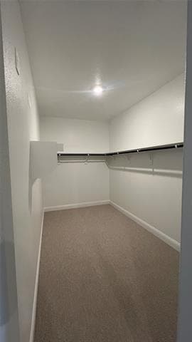 Building Photo - 1407 Winters Wy