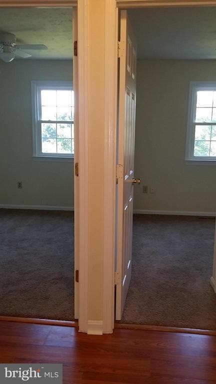 Building Photo - 203 Ash Hollow Dr