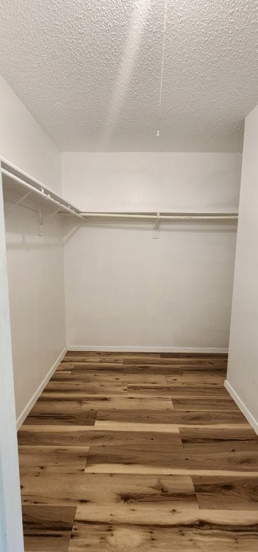 Building Photo - 1804 Greenhill Dr