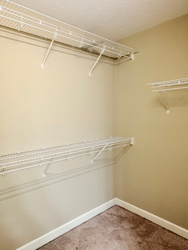 Building Photo - 567 Aries Ct