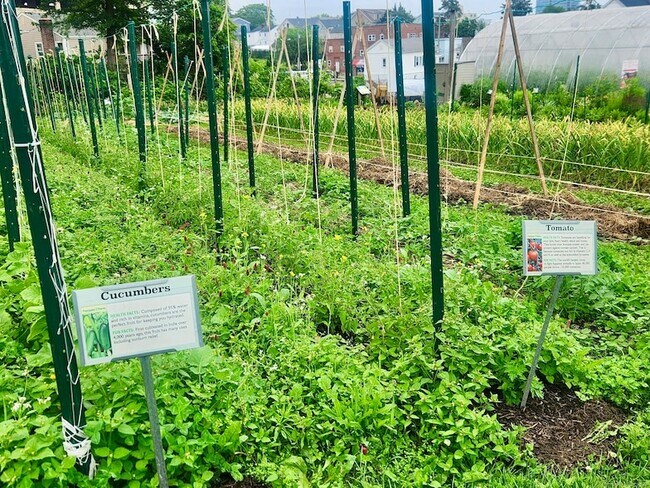 Building Photo - 31 Fairgate Dr