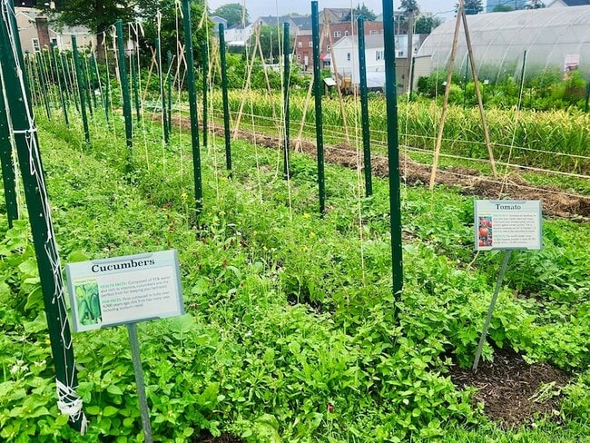 Building Photo - 54 Fairgate Dr