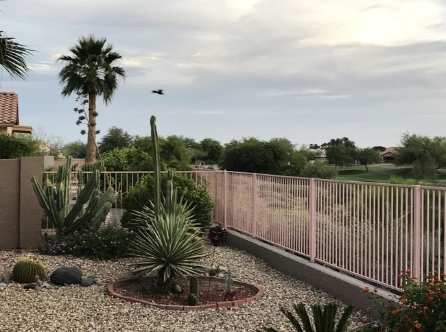 Building Photo - 11554 W Mohave Ct