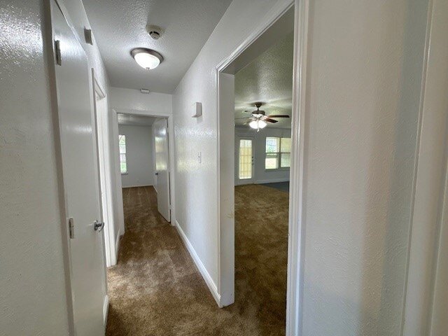 Building Photo - 2720 Jewell Dr