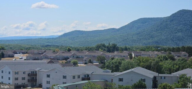 Building Photo - 225 Brandy Ct