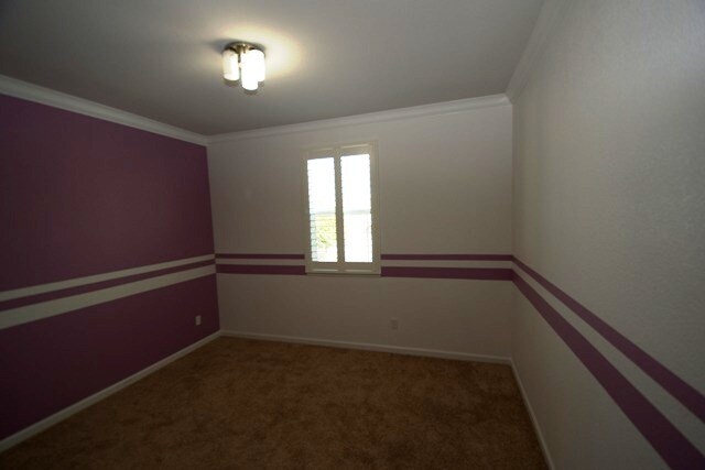 Building Photo - 916 Wilderness Way