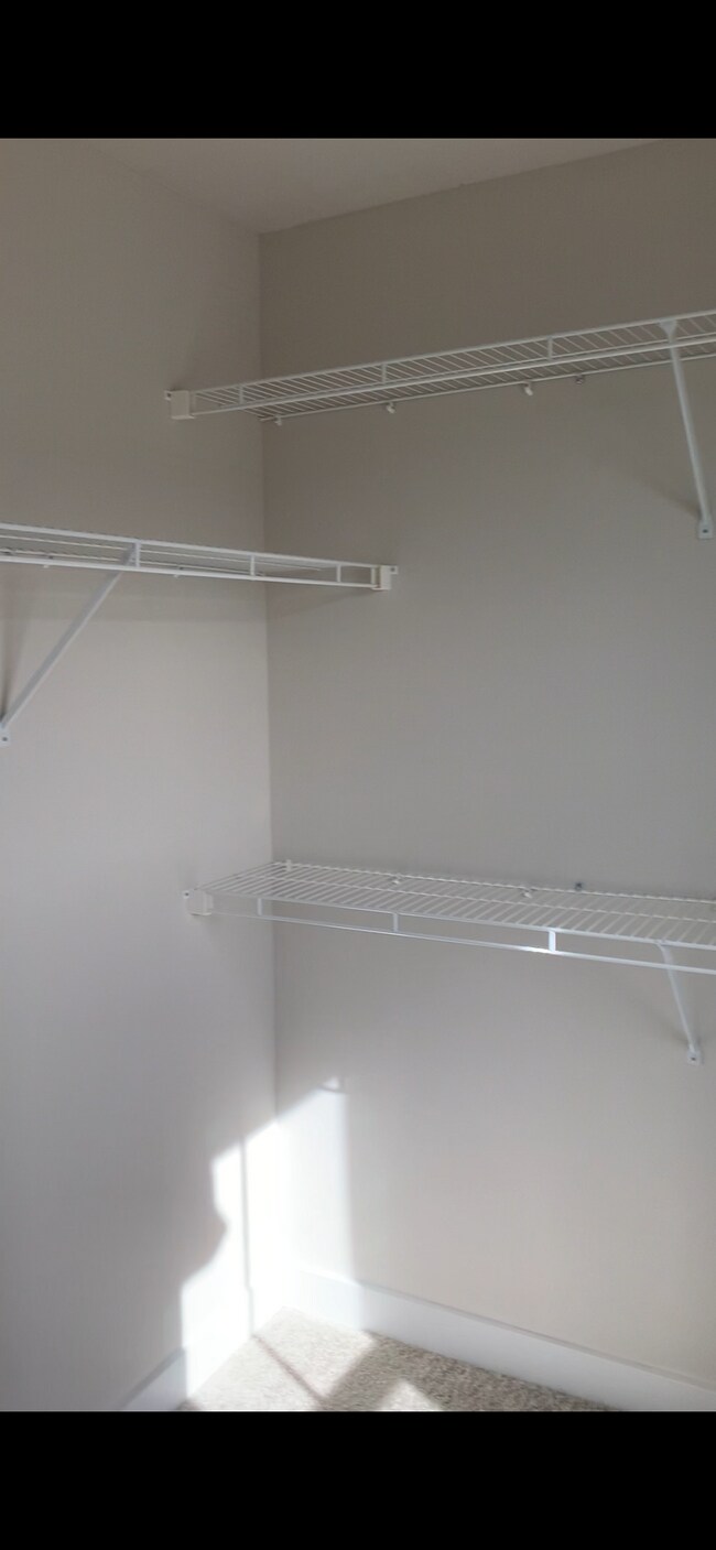 1 of 2 primary closets - 211 Pryor Dr