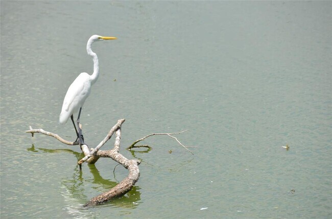 Building Photo - 1209 Vance St