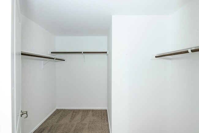 Building Photo - SA- Texas A&M Area / Vida Subdivision