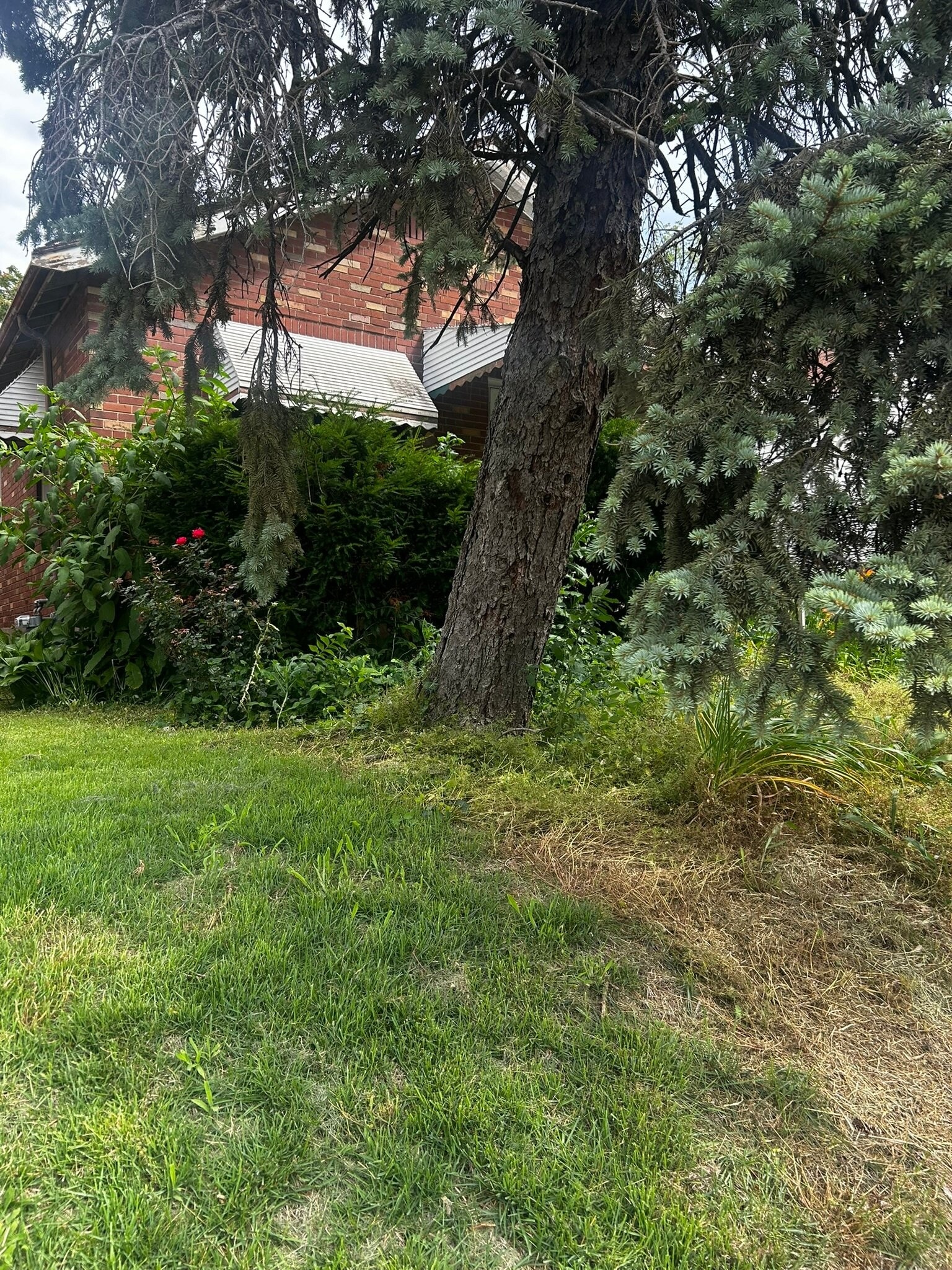 Building Photo - 4719 Plover Ave