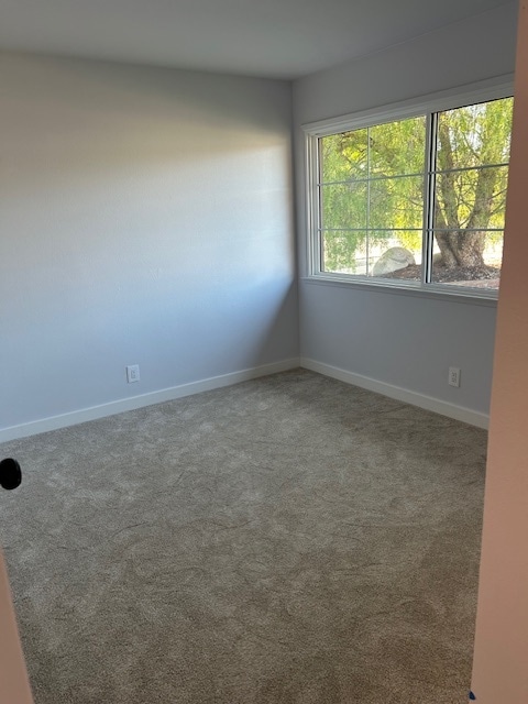 Building Photo - 292 Henrietta Ave