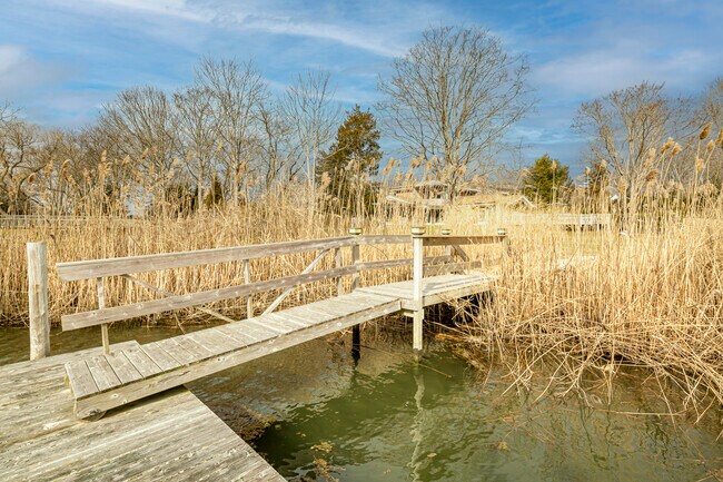 Building Photo - 146 Heady Creek Ln