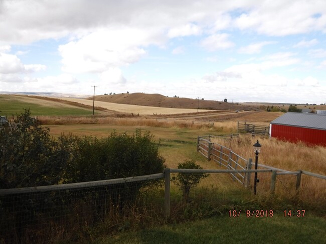 Building Photo - Gorgeous Home on 20 Acres- Horses Welcome!