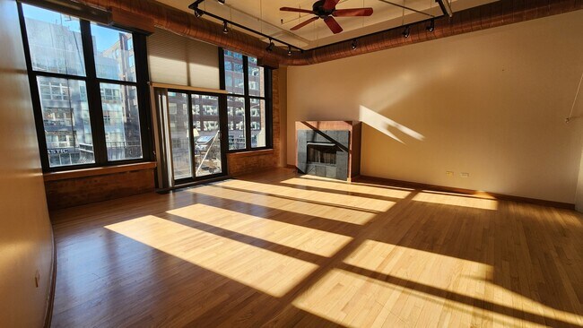Building Photo - 333 W Hubbard St